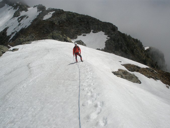 Rognier (29).jpg - Toujours encords